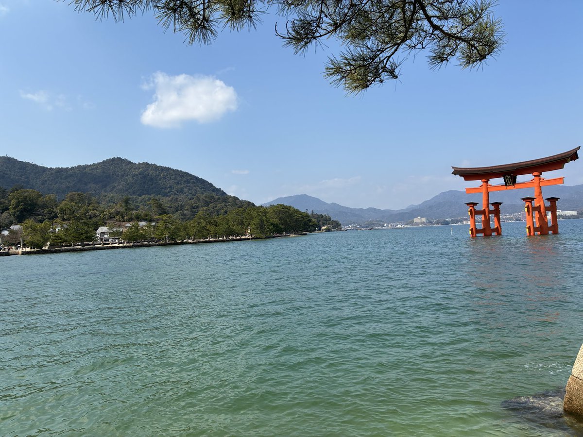 あかり tweet media