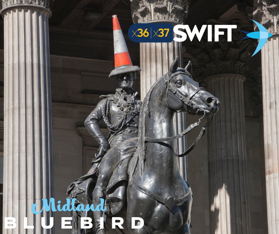 Midland Bluebird tweet media