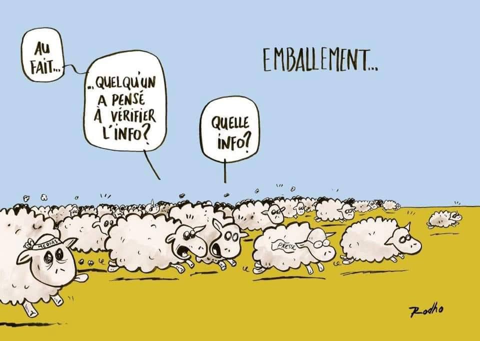 Isabelle DeNuit tweet media