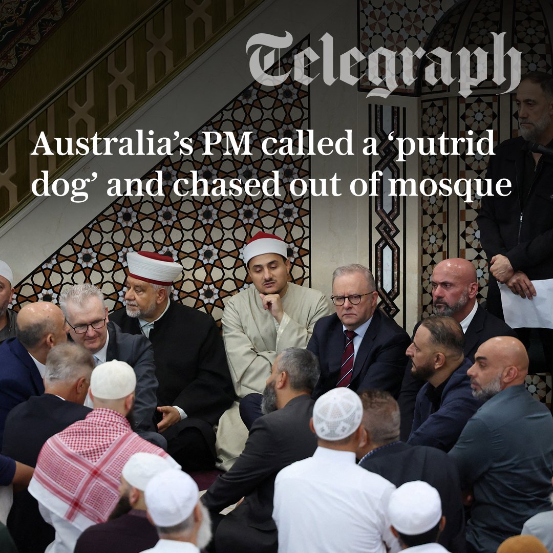 The Telegraph tweet media