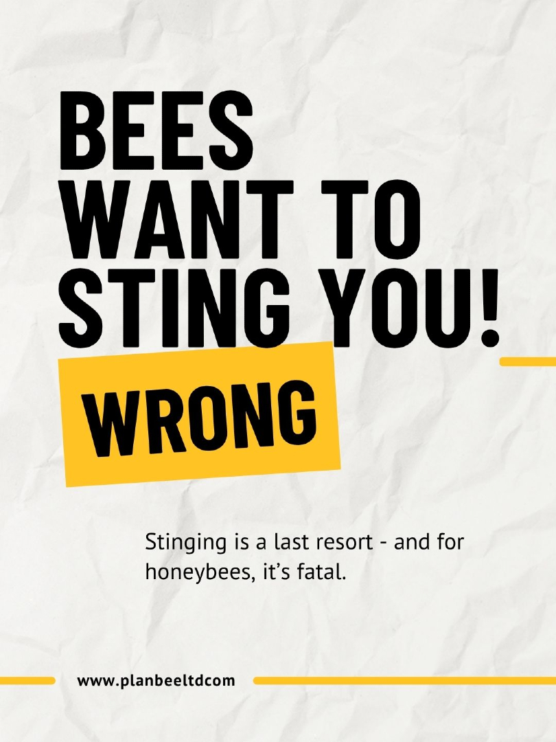 Plan Bee Ltd tweet media