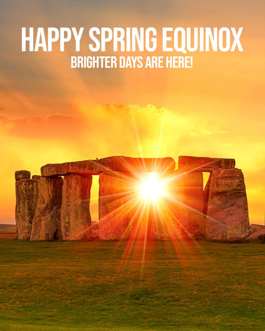 Susan ✨⚖️✨🕊️ ☮️ 💟🇺🇦 tweet media