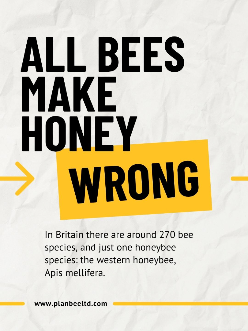 Plan Bee Ltd tweet media