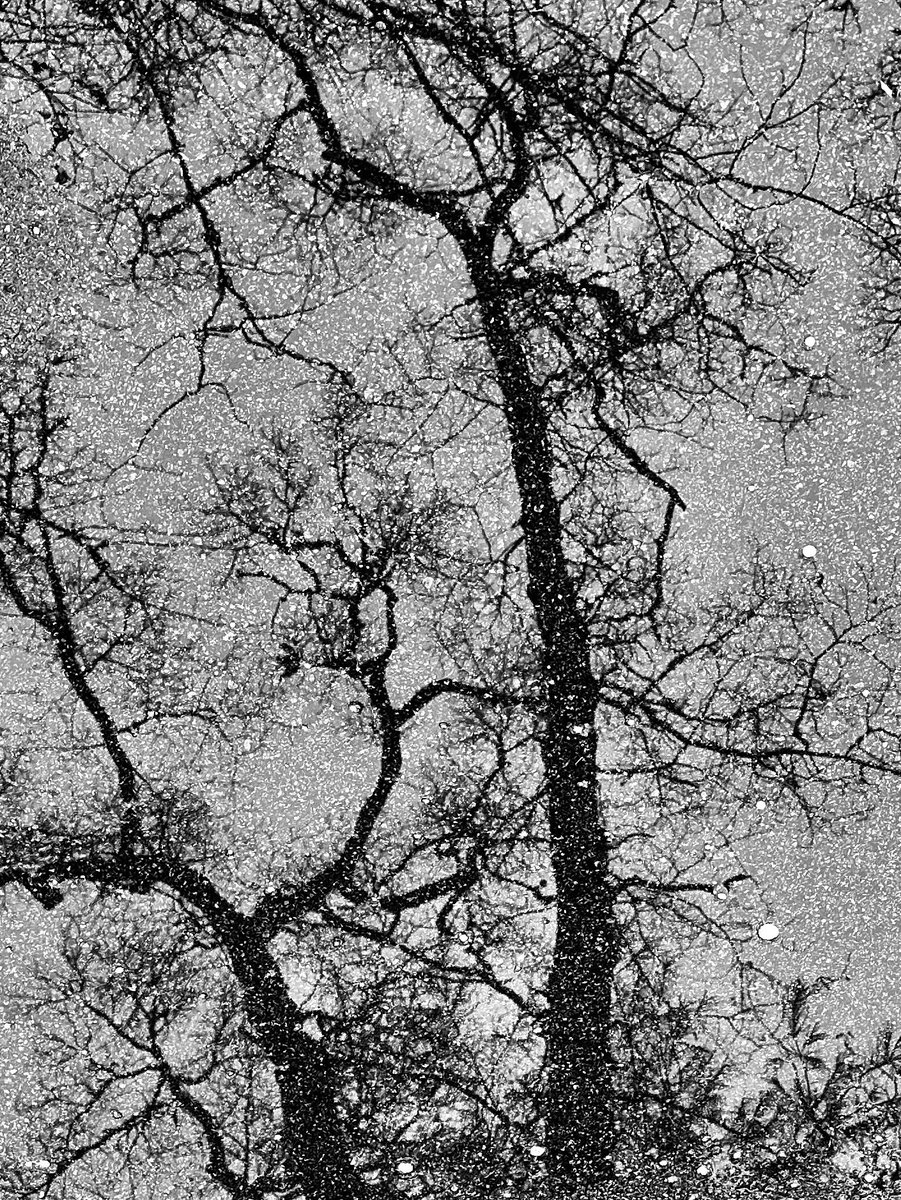 Andy Perrin tweet media