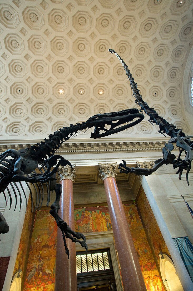 Taylor McCoy 🦖 tweet media