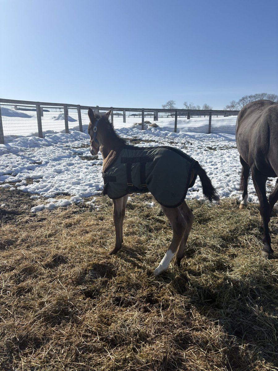 LakeVillaFarm tweet media