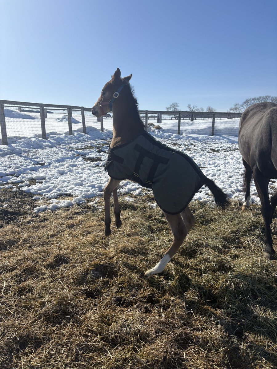 LakeVillaFarm tweet media