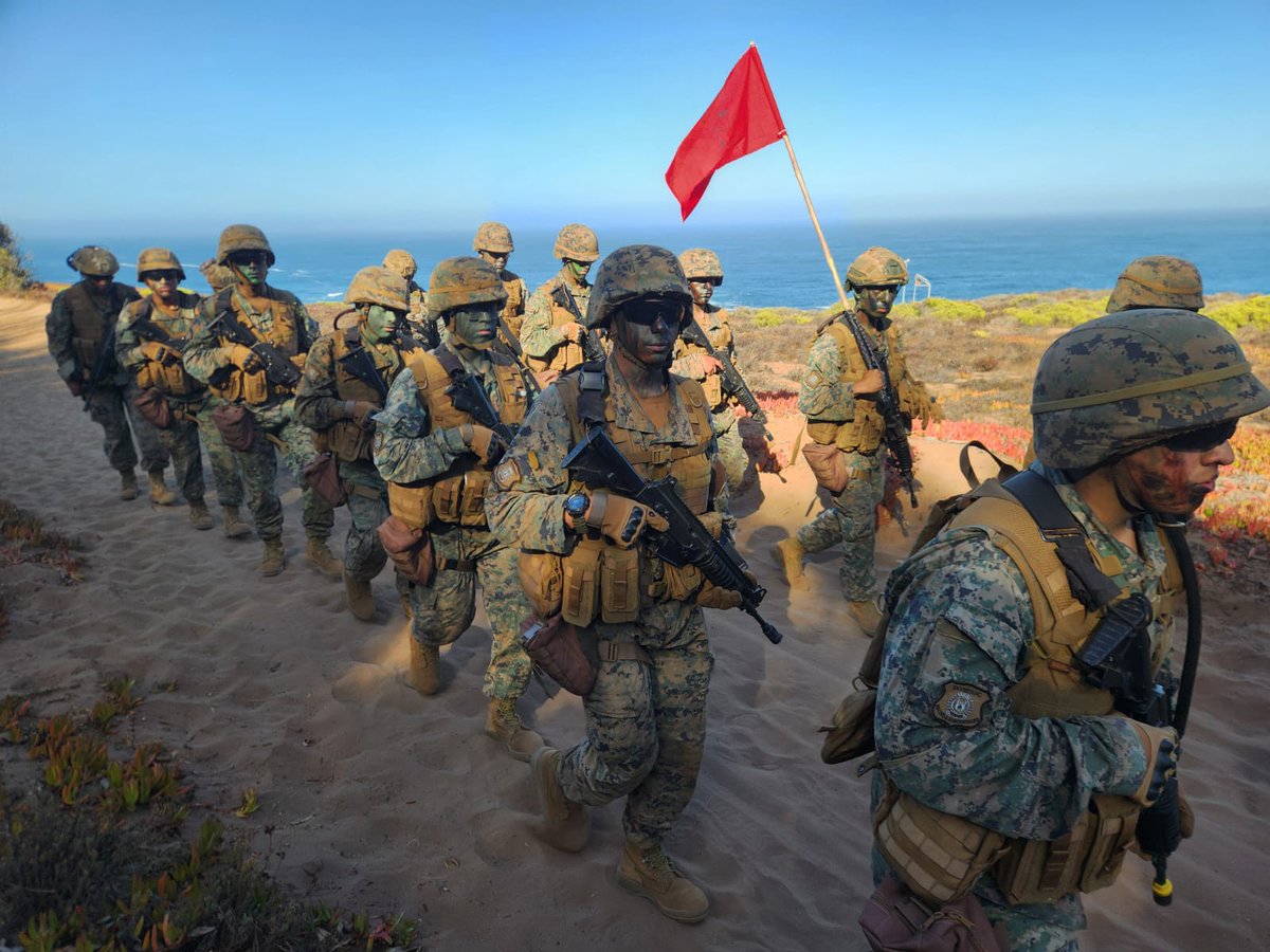 Ejército de Chile tweet media