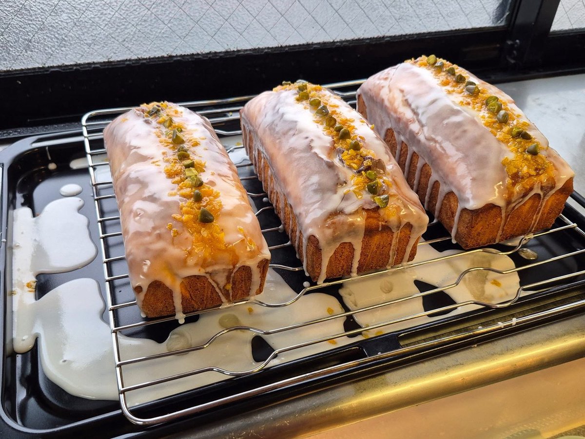 カラス tweet media