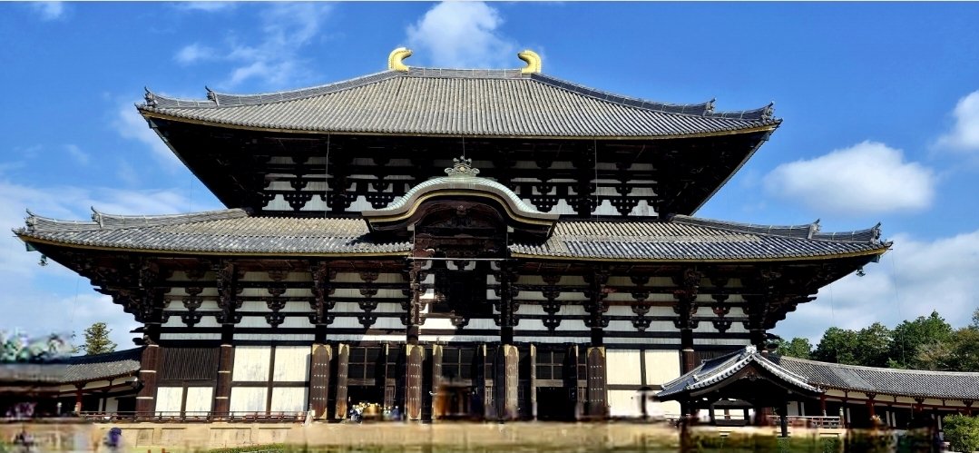 Cheryl Scheffer tweet media