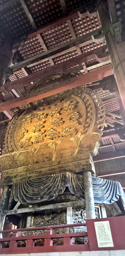 Cheryl Scheffer tweet media