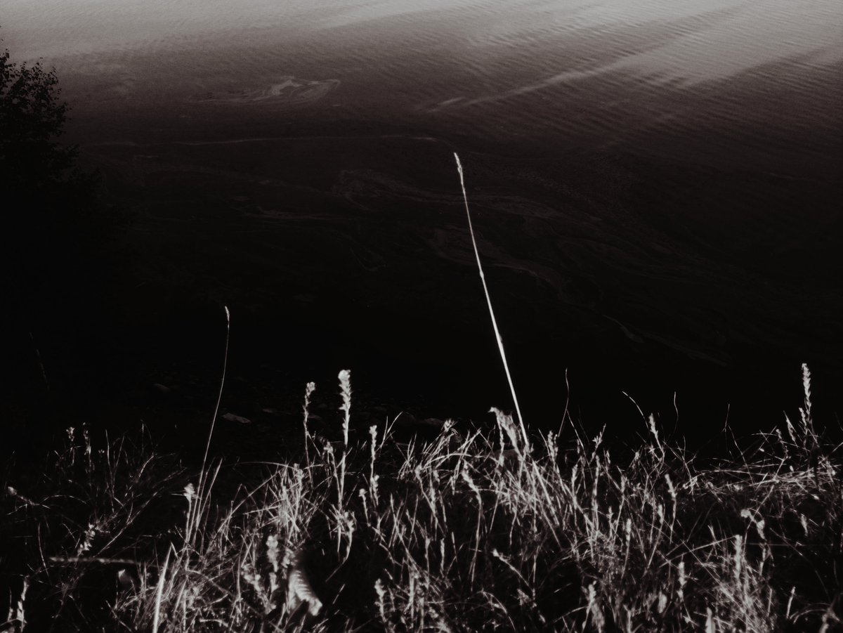 Northern ❄ Spirit tweet media