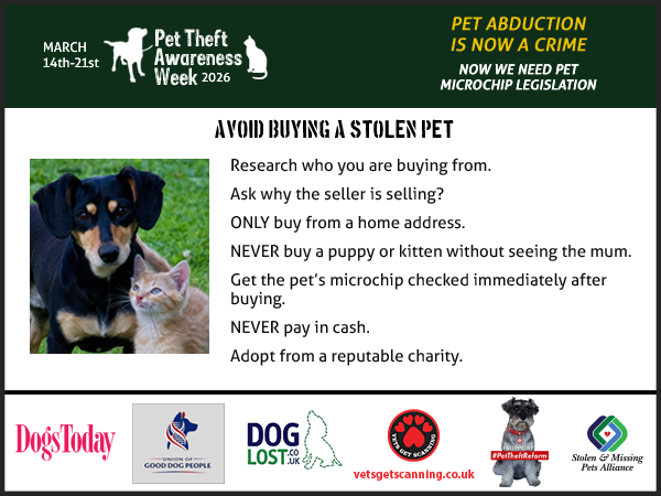 Pet Theft Awareness tweet media