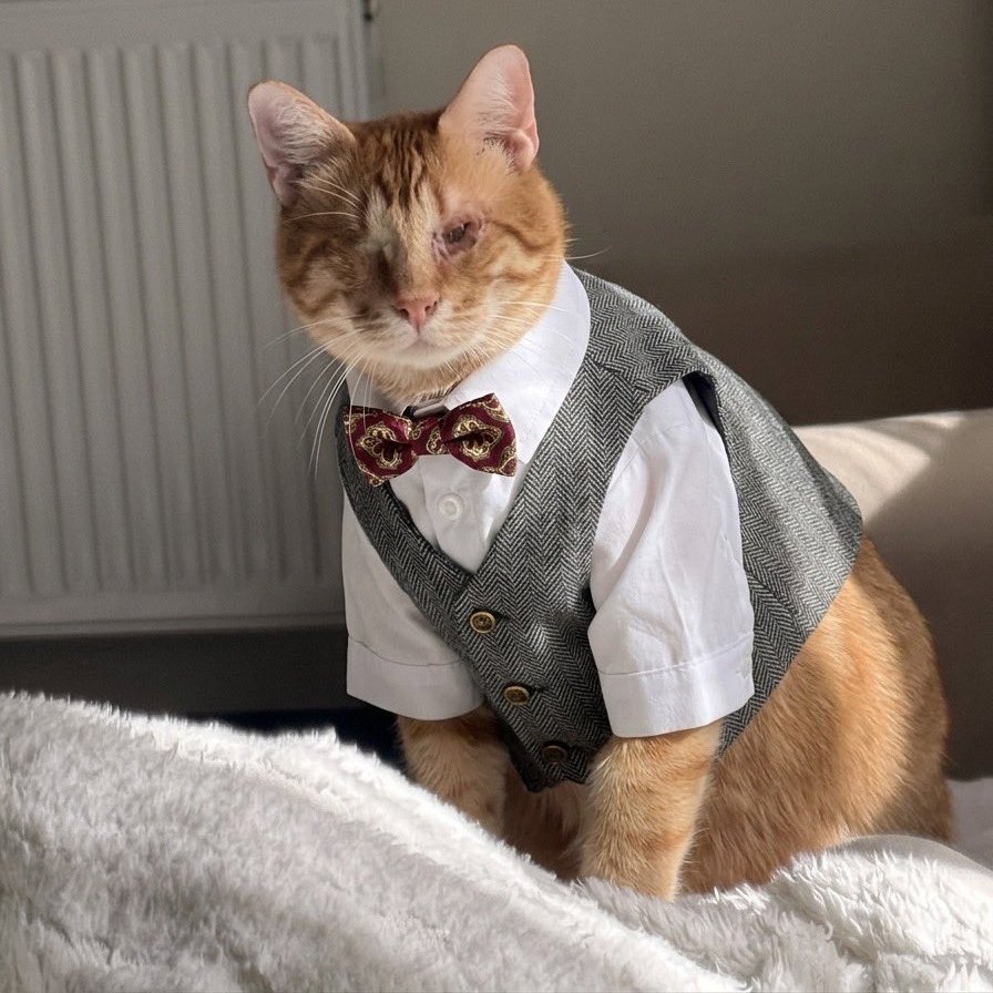 etginlik tweet media