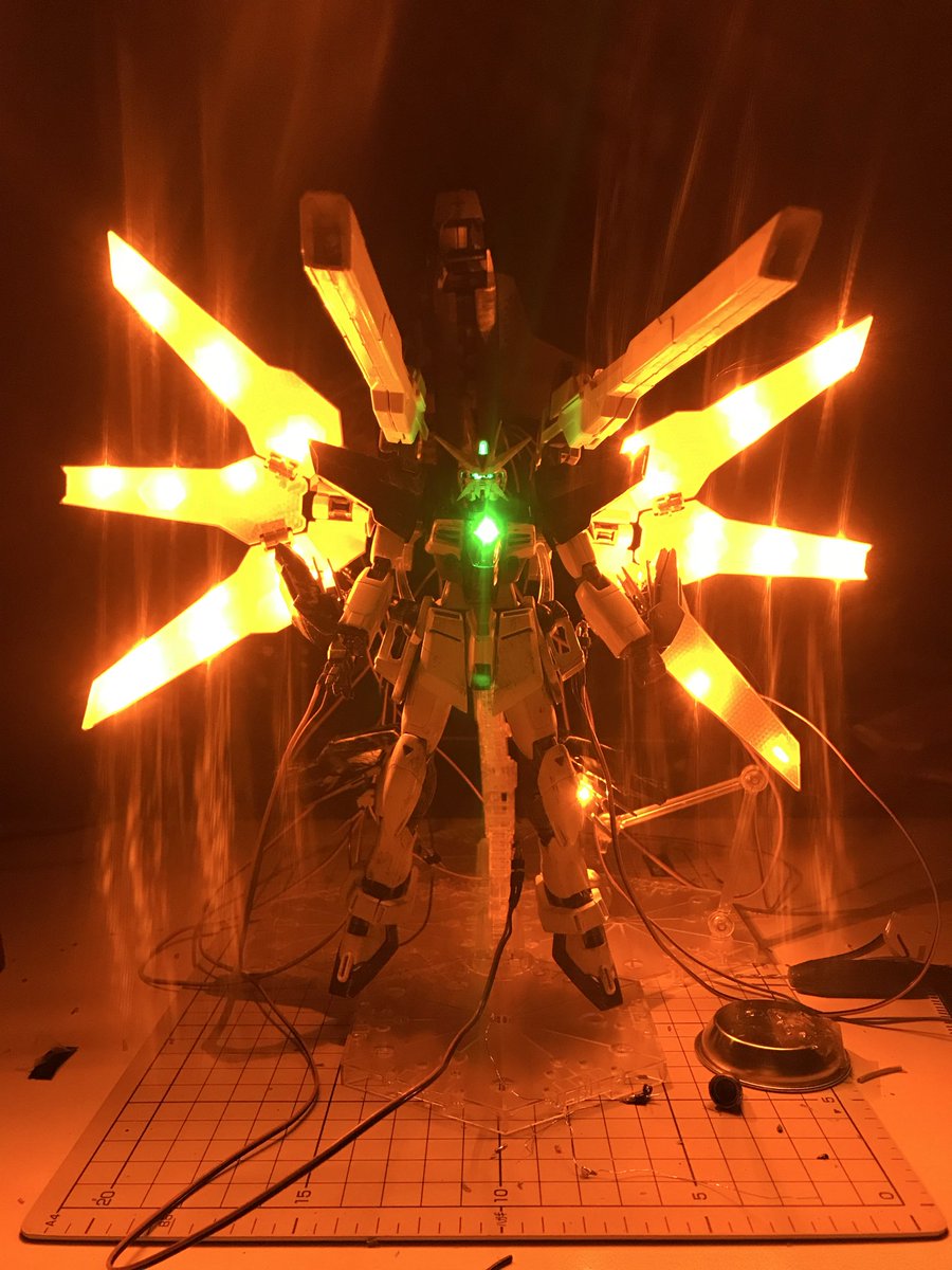 粕谷雄太🐙 tweet media