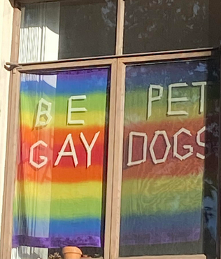 WillowTheFoxΘΔ🏳️⚧️🐾Pawbz are cute!🐾 tweet media