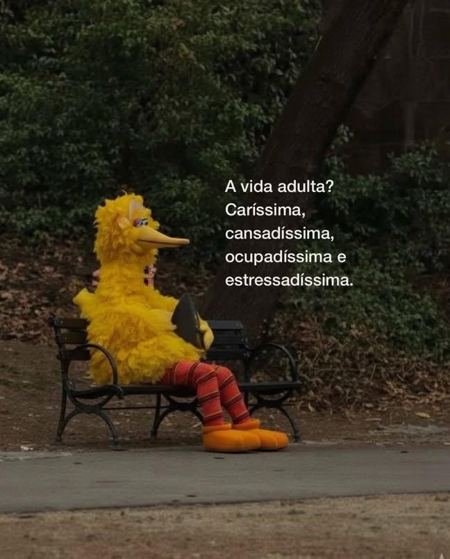 Afrodite tweet media