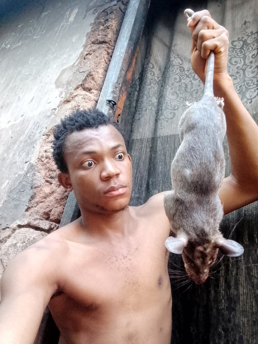 ℙ𝕒𝕤𝕔𝕙𝕒𝕝✭ tweet media