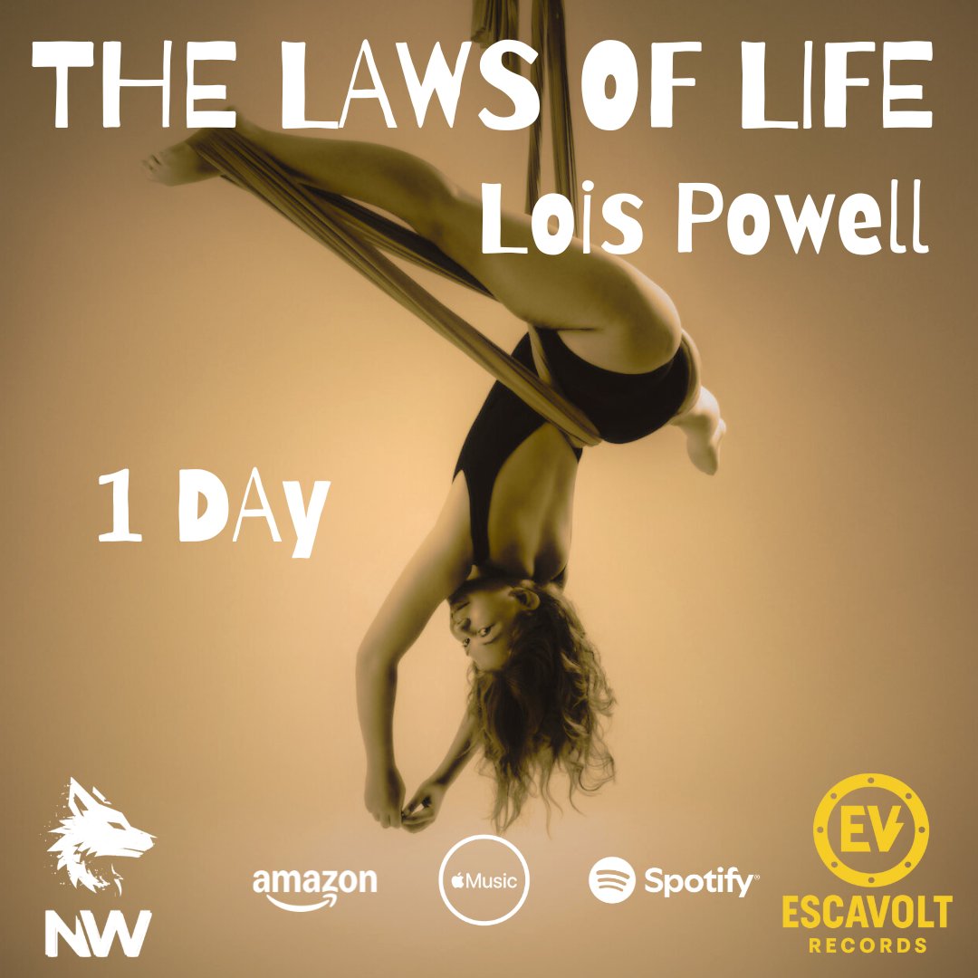 Night Wolf tweet media