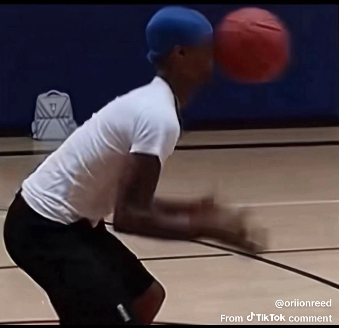 Luminous🐾🥐⚔️ tweet media