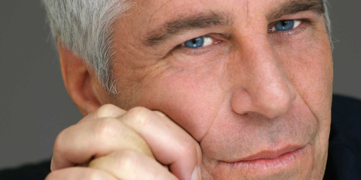 StridentConservative tweet media