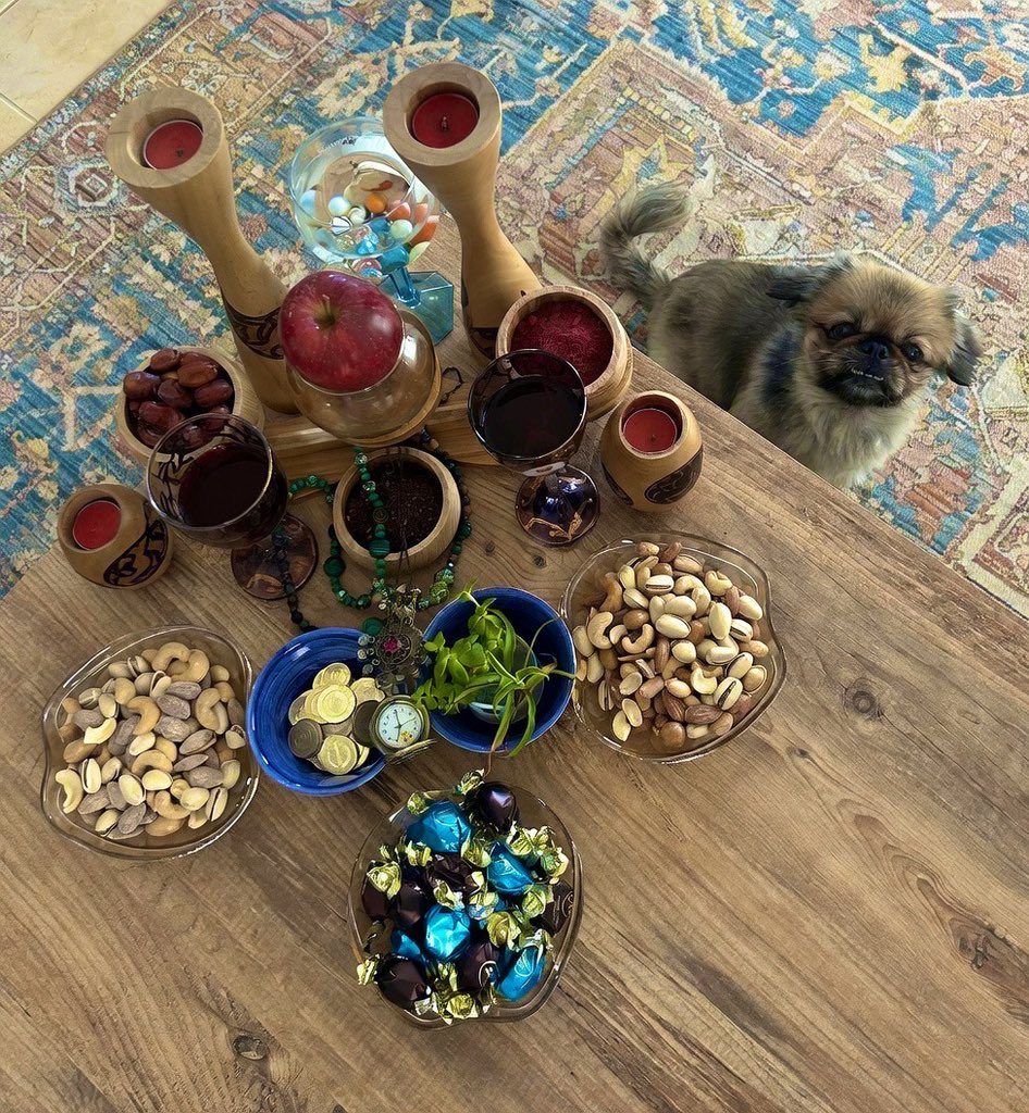 Soheil🇮🇷🇮🇱🇺🇸 tweet media