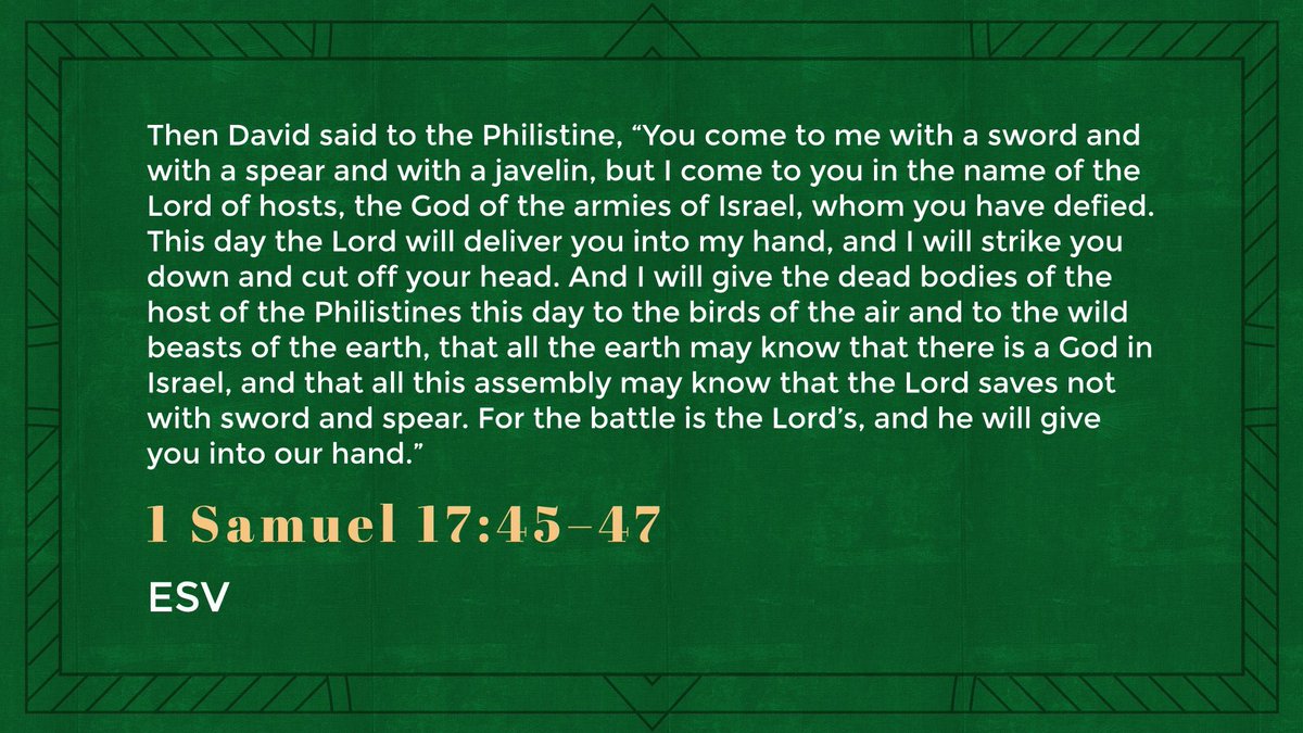 Steve Campbell tweet media