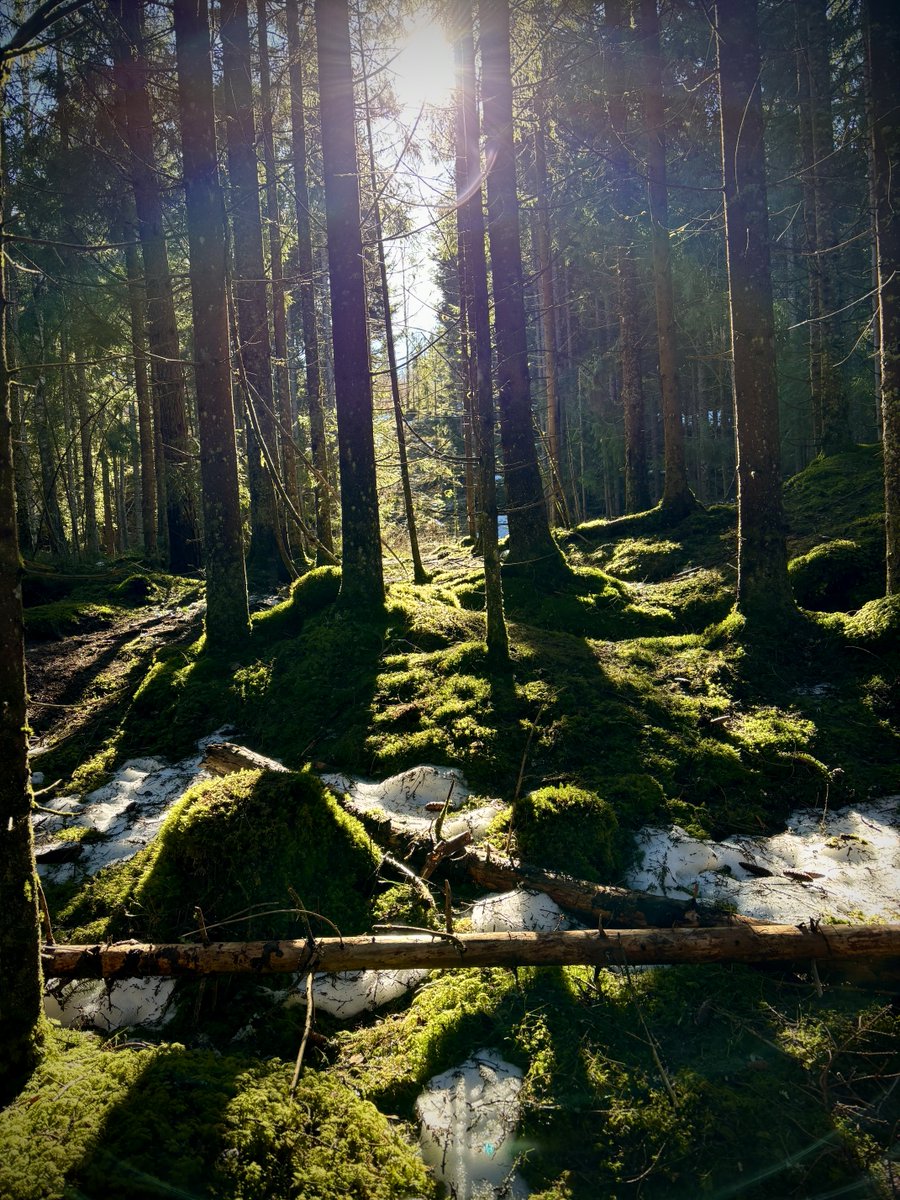 Anita Fnugg🌱🧶 tweet media