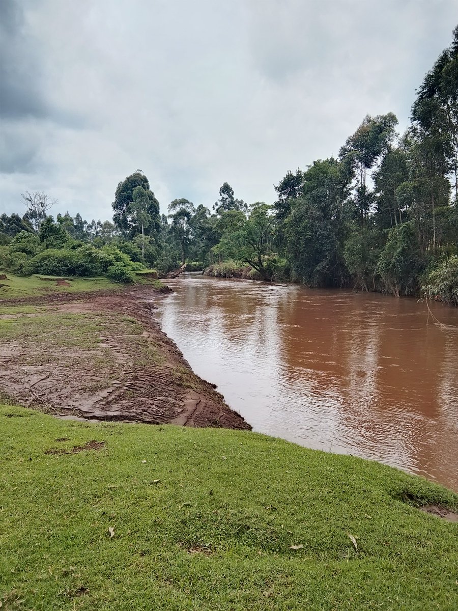 Chemusar tweet media