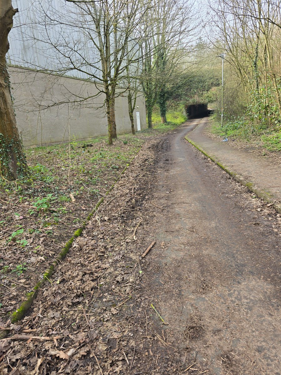 Bad Putty Tat tweet media