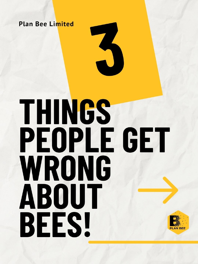 Plan Bee Ltd tweet media