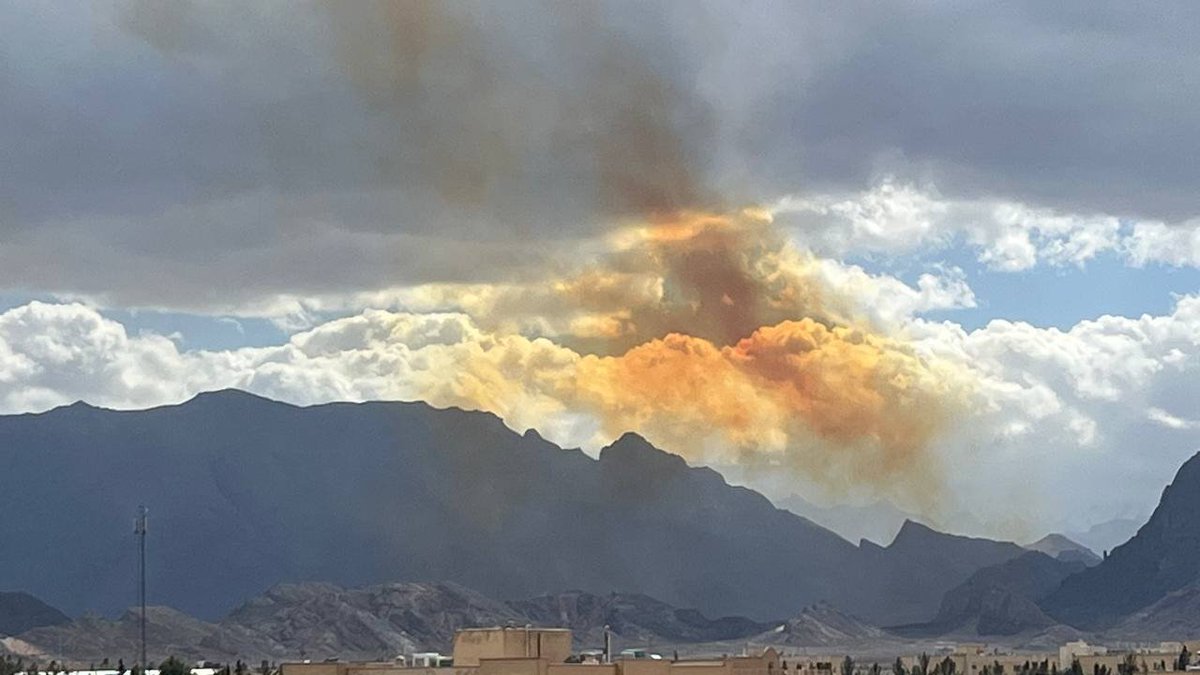 مملکته tweet media