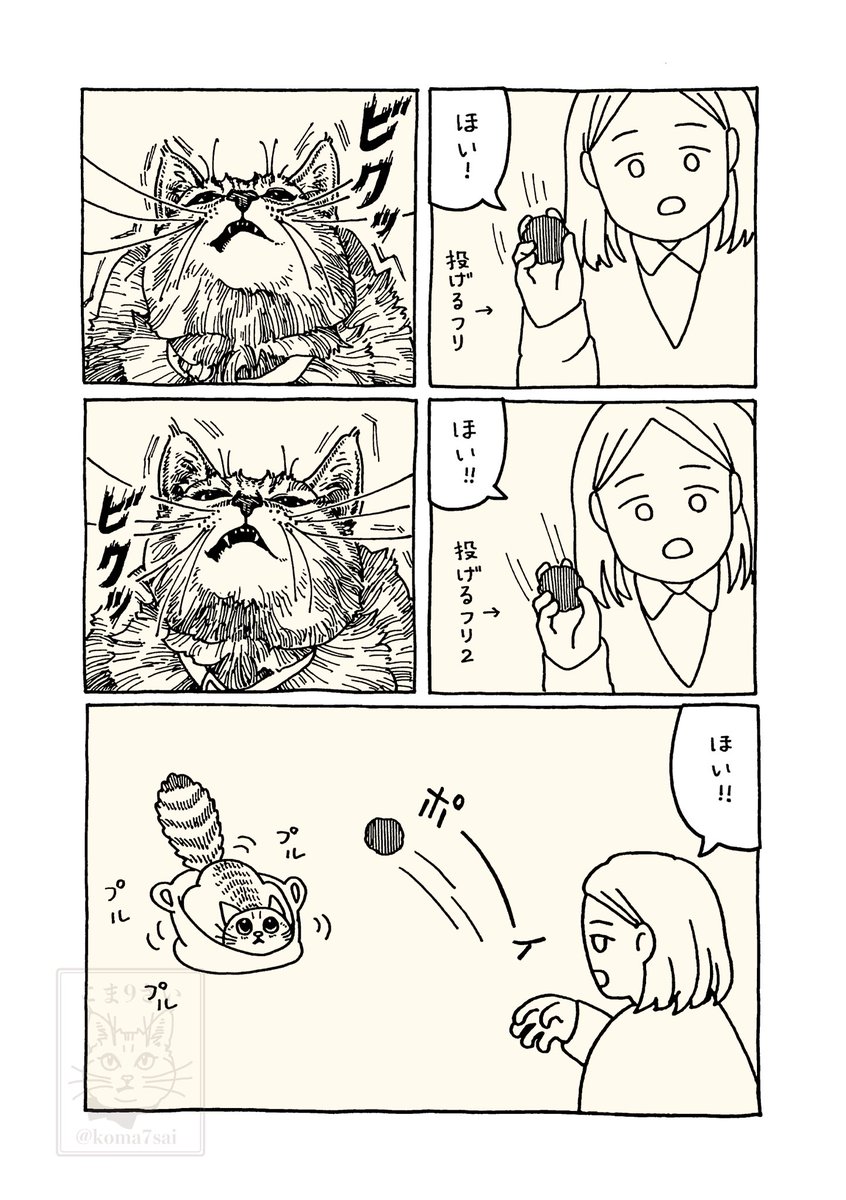 koma7sai's tweet photo. 落下地点にこだわりがある猫 https://t.co/ZD25R8A1q3