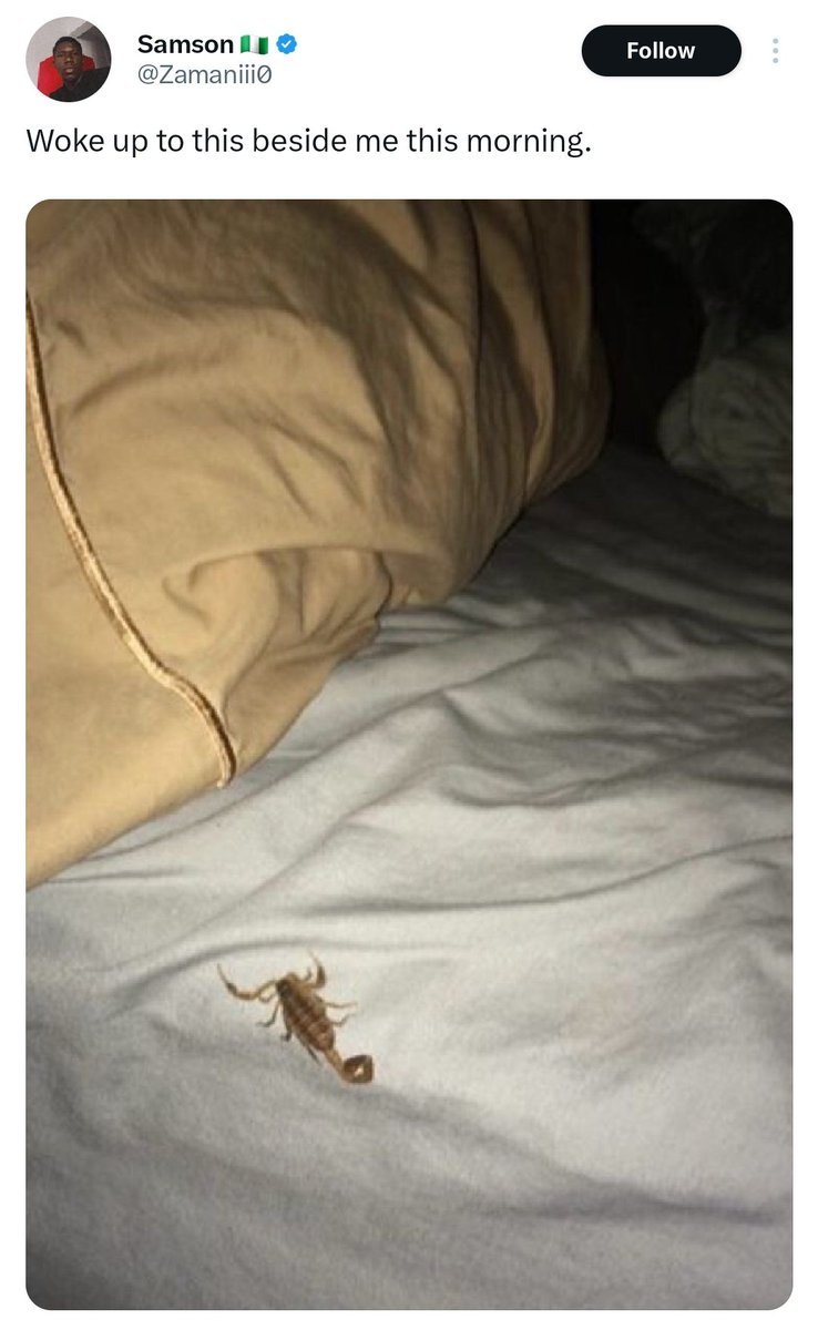 Quackers___'s tweet photo. How many of una sef dey stay the same house and sleep on the same bed 😭😭 https://t.co/2aZXvvcM7i