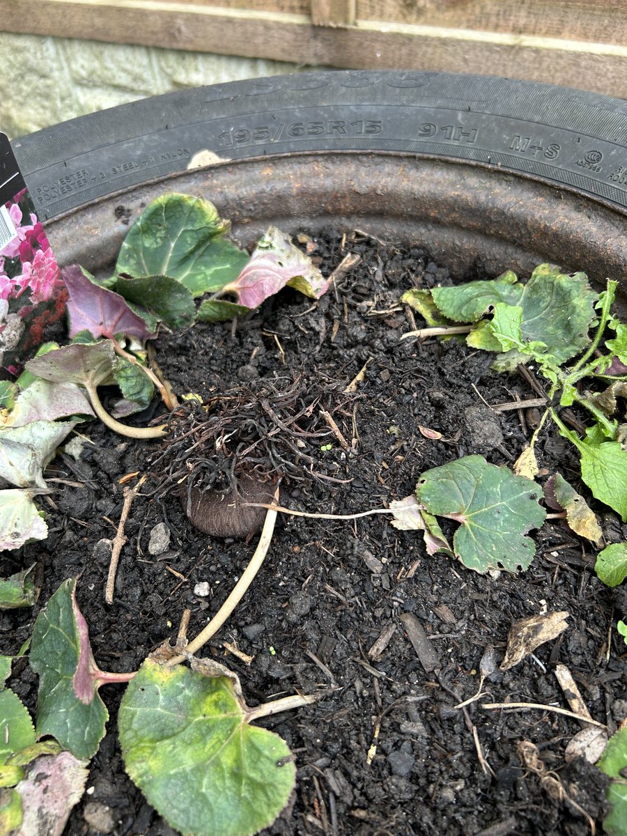 Kate Gordon tweet media