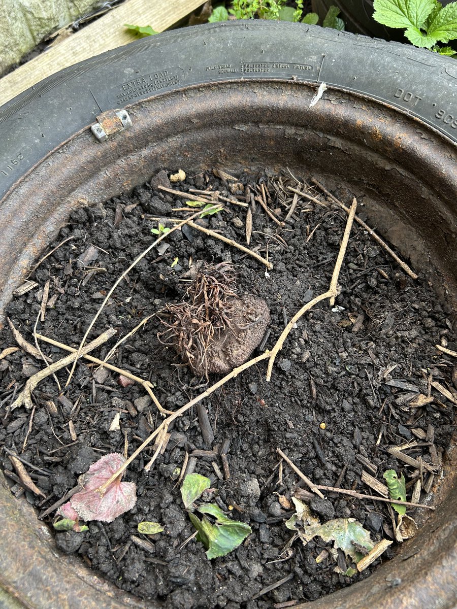 Kate Gordon tweet media