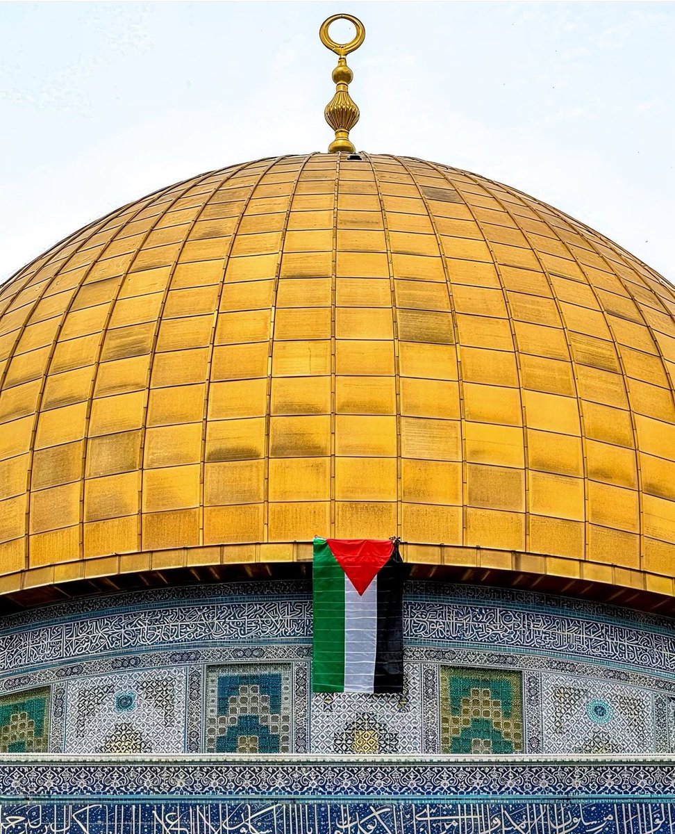 Zoheir Rouis زهير رويس tweet media