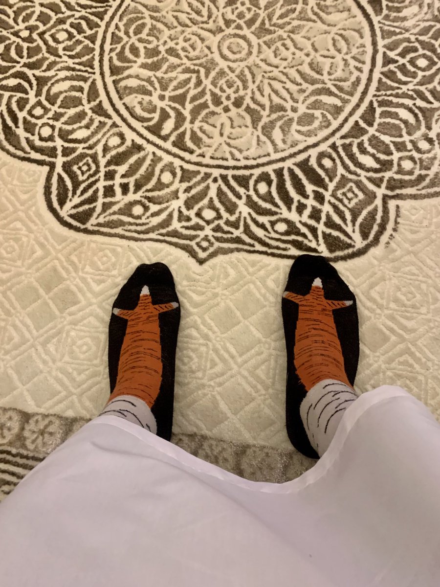 AmrHashish17's tweet photo. مستغرب كل اما اروح اعيد علي حد من اهلي يبصلي ويضحك
الشراب اللي لابسه: https://t.co/ylaU5kg4GX