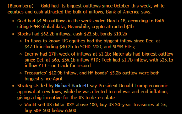 Tracy Shuchart (𝒞𝒽𝒾 ) tweet media