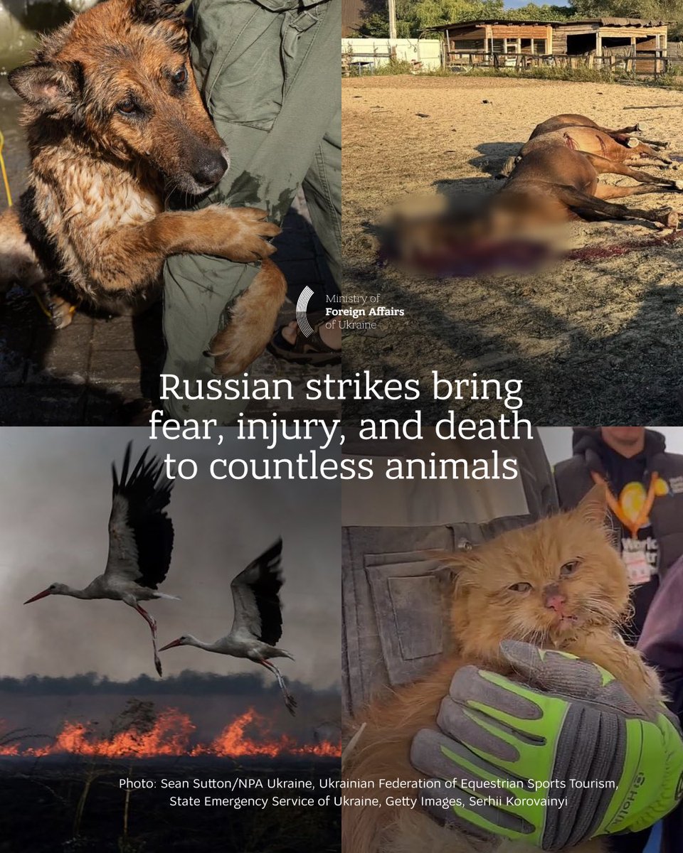 txn .✦ ݁˖ is un1Quə tweet media