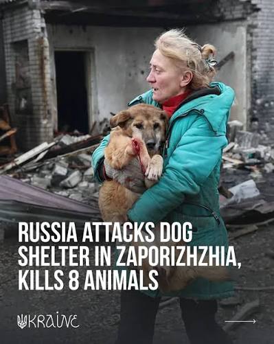 txn .✦ ݁˖ is un1Quə tweet media