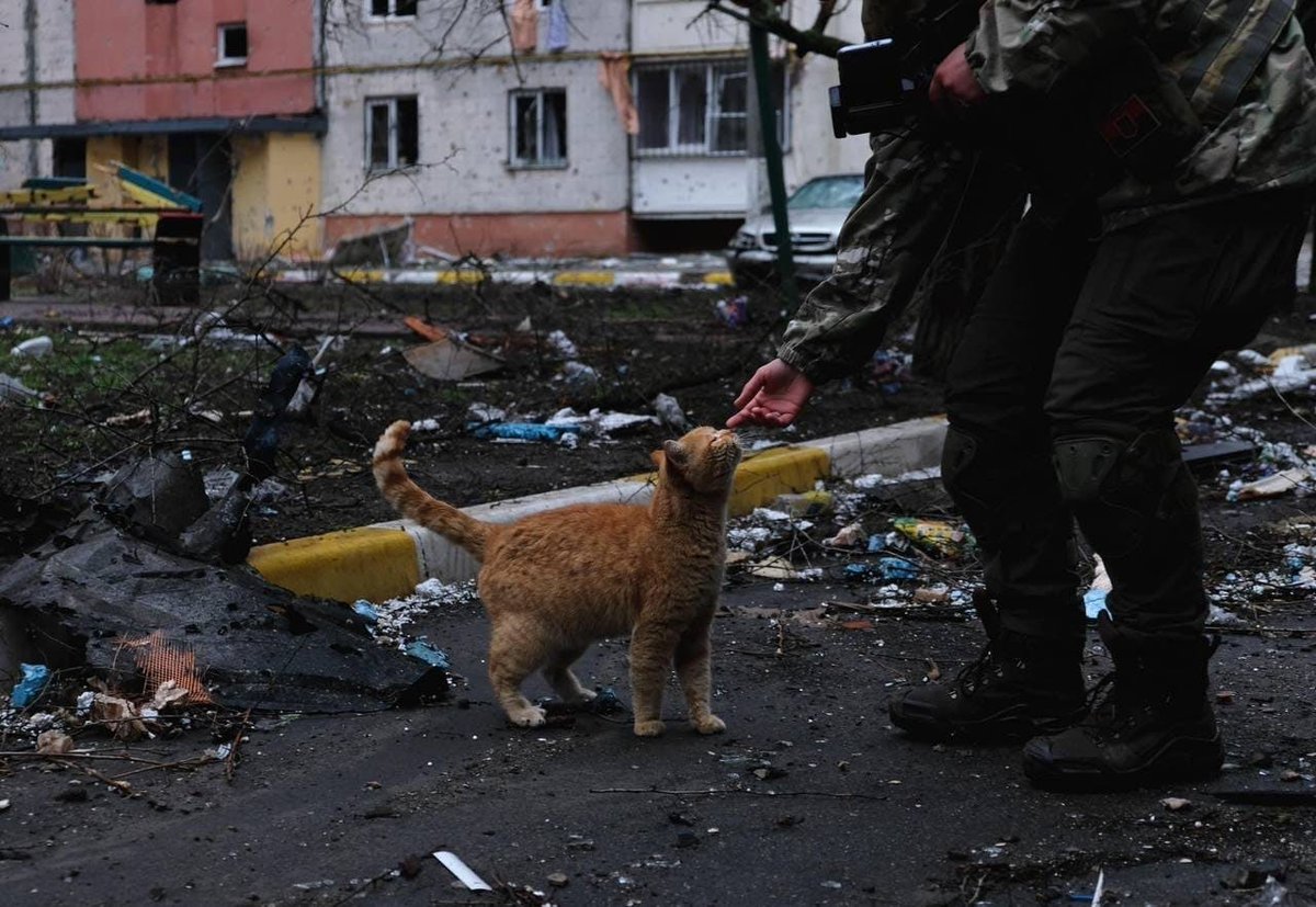 txn .✦ ݁˖ is un1Quə tweet media