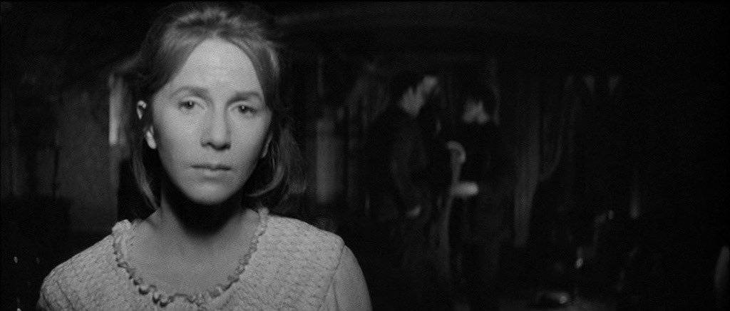 Courte-Focale.fr tweet media