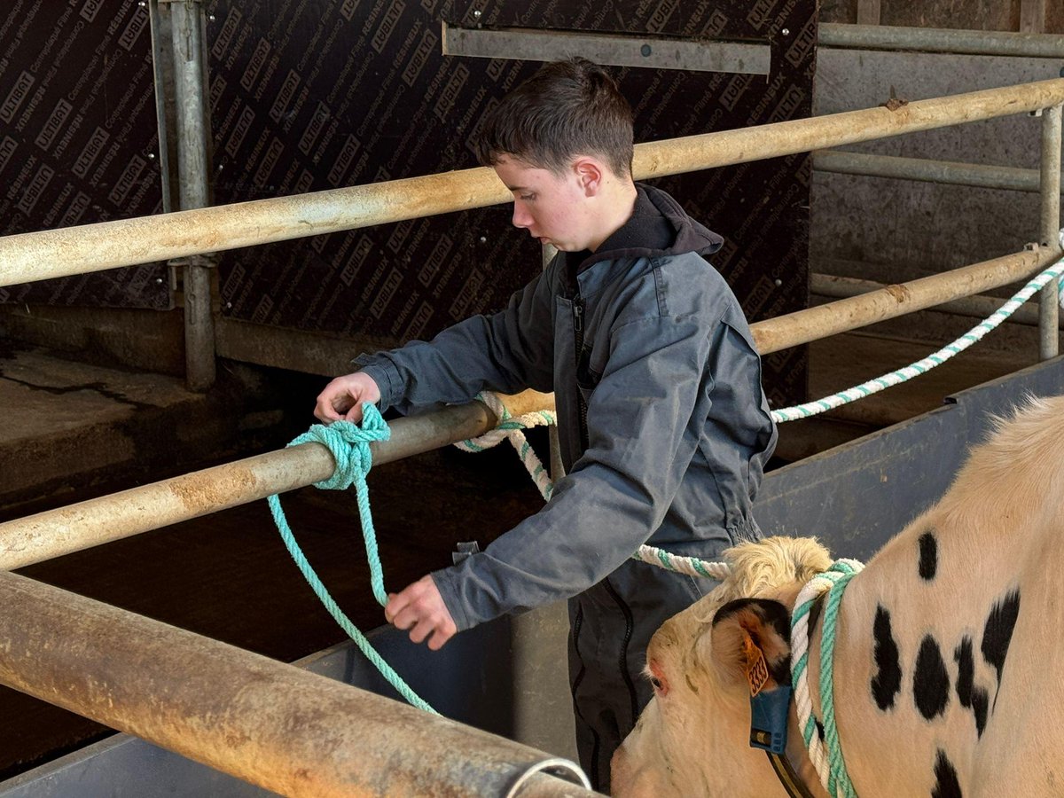 MSA Armorique tweet media