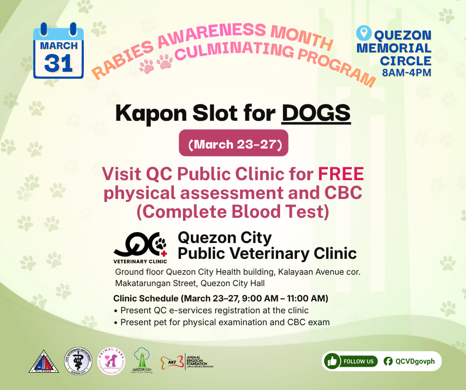 Quezon City Government tweet media