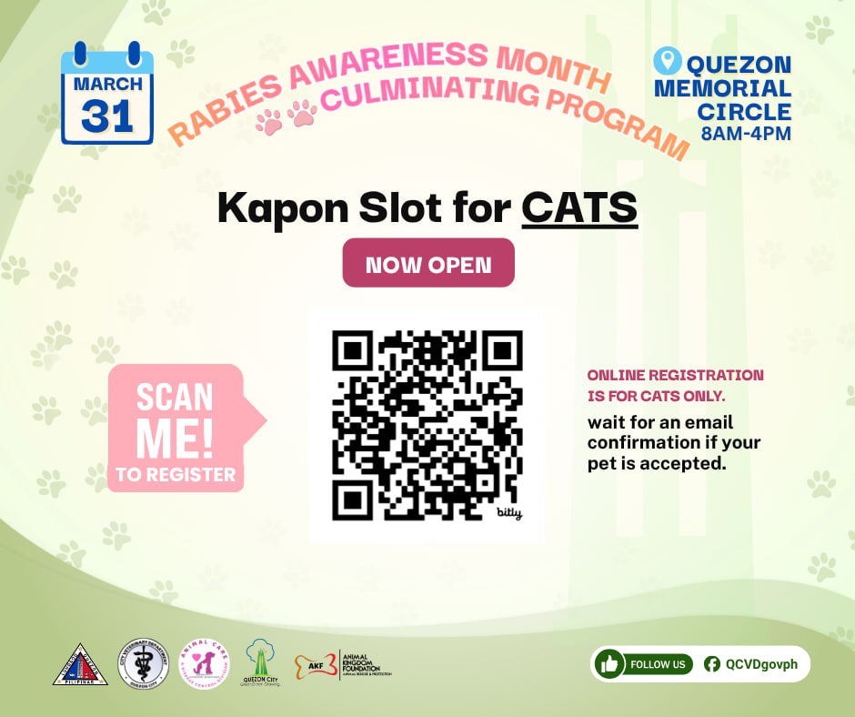 Quezon City Government tweet media