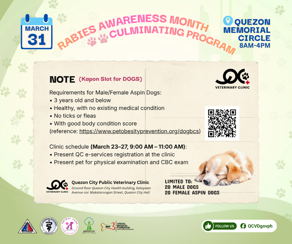 Quezon City Government tweet media