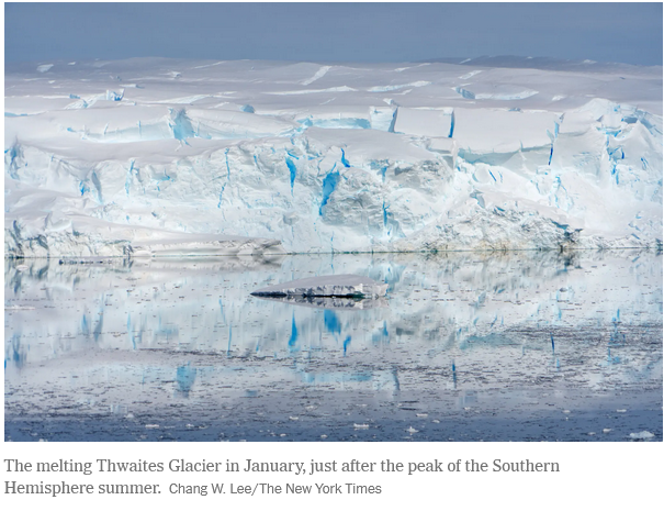 Kim M.🌈🐘🦋 tweet media