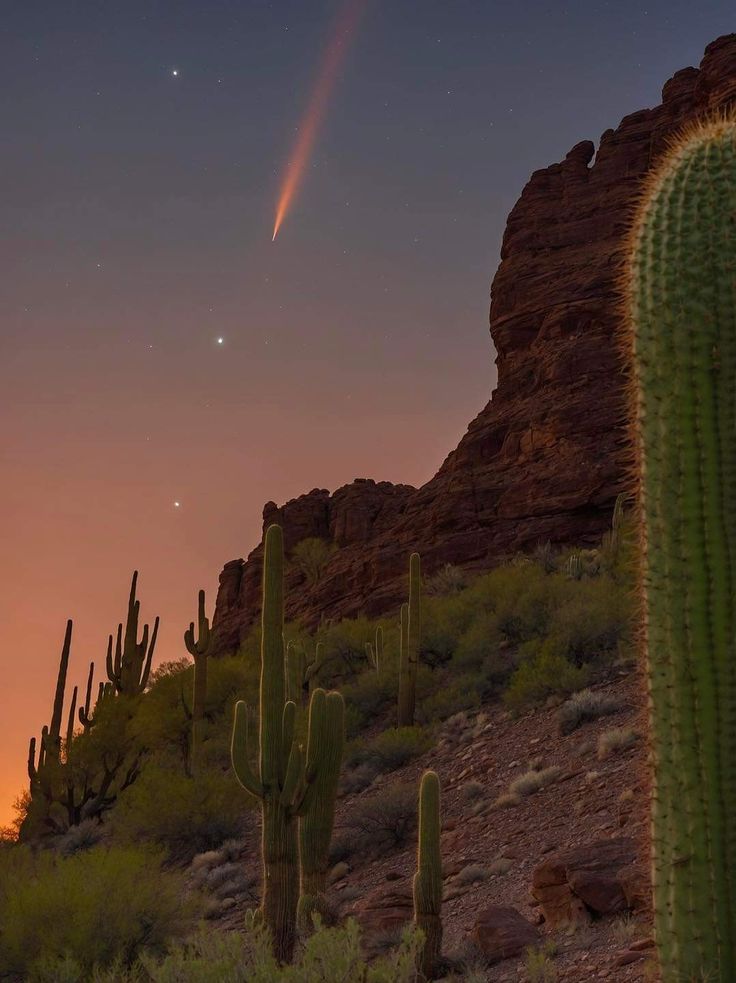 ๐บ๐๐๐๐๐๐ tweet media