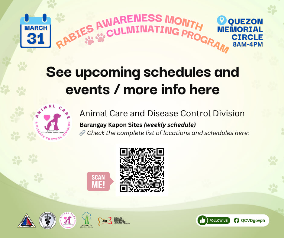 Quezon City Government tweet media